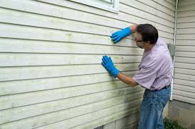 Best Custom Trim and Detailing for Siding  in Madison, MS